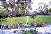 Great Lawn